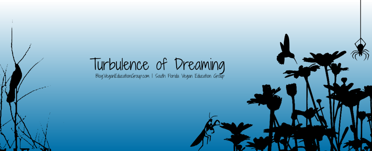 The Turbulence of Dreaming | South Florida Vegan Education Group Blog