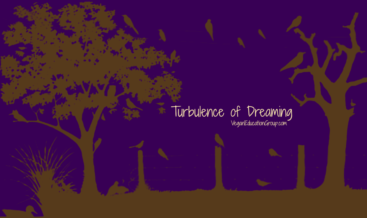 The Turbulence of Dreaming | South Florida Vegan Education Group Blog