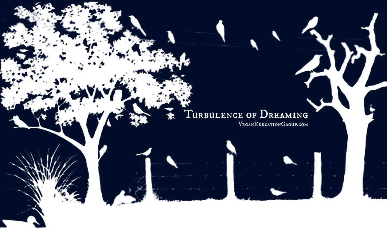 The Turbulence of Dreaming | South Florida Vegan Education Group Blog